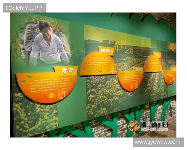 成都排球队的崛起之路：世锦赛背后的奋斗与荣耀