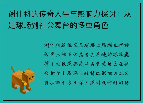 谢什科的传奇人生与影响力探讨：从足球场到社会舞台的多重角色